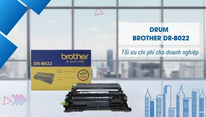 drum mực Brother DR-B022